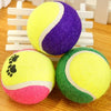 Tennis Ball Run Play Chew Dog Toys