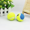 Tennis Ball Run Play Chew Dog Toys