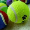 Tennis Ball Run Play Chew Dog Toys