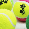 Tennis Ball Run Play Chew Dog Toys