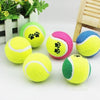 Tennis Ball Run Play Chew Dog Toys