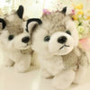 Simulation Husky Dog Plush Toy