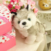 Simulation Husky Dog Plush Toy