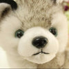 Simulation Husky Dog Plush Toy