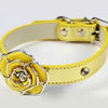 Flower Bling Dog Collar Lead