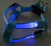 Flashing Light Up Safety Harness Collar