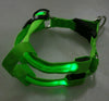 Flashing Light Up Safety Harness Collar