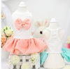 Spring and Summer Small Dog Dress