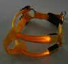 Flashing Light Up Safety Harness Collar